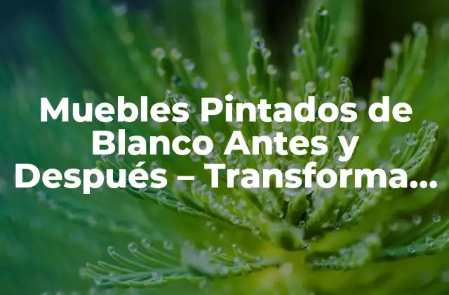 Muebles Pintados de Blanco Antes y Después – Transforma Tu Hogar