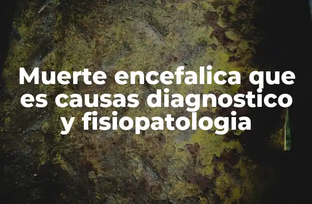 Muerte Encefalica que es Causas Diagnostico y Fisiopatologia