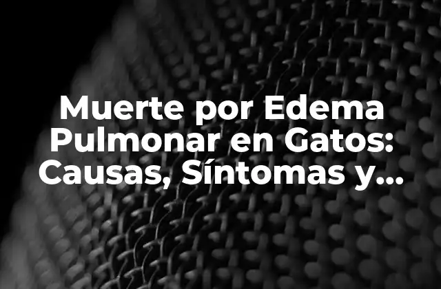 Muerte por Edema Pulmonar en Gatos: Causas, Síntomas y Tratamiento