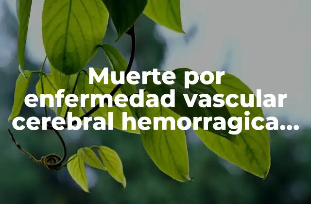 Causas y factores de riesgo de la hemorragia cerebral