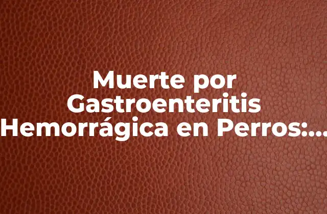 Muerte por Gastroenteritis Hemorrágica en Perros: Causas, Síntomas y Tratamiento