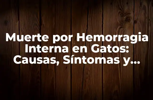Muerte por Hemorragia Interna en Gatos: Causas, Síntomas y Tratamiento