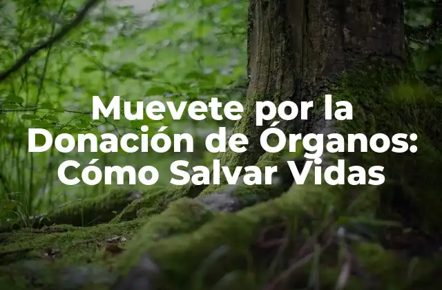 Muevete por la Donación de Órganos: Cómo Salvar Vidas