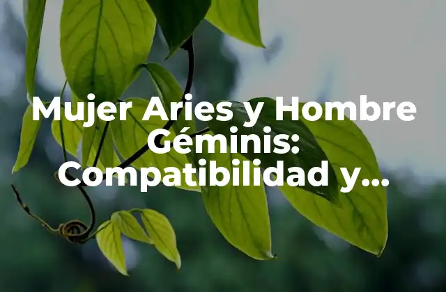 Mujer Aries y Hombre Géminis: Compatibilidad y Relación