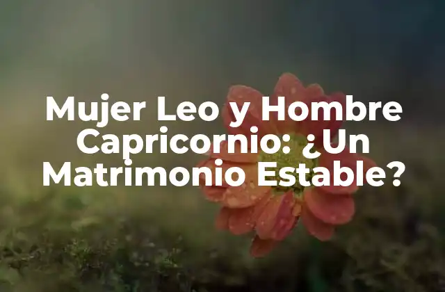 Mujer Leo y Hombre Capricornio: ¿un Matrimonio Estable?