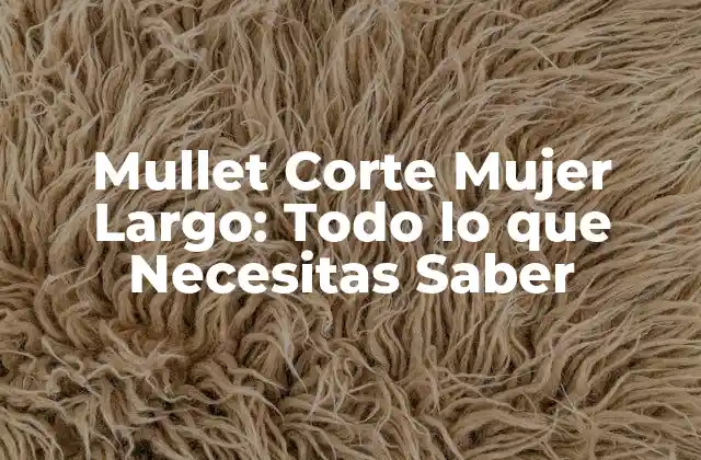 Mullet Corte Mujer Largo: Todo Lo que Necesitas Saber 2 Características del Corte Mullet para Mujeres con Cabello Largo