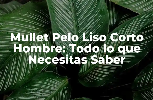 Mullet Pelo Liso Corto Hombre: Todo Lo que Necesitas Saber