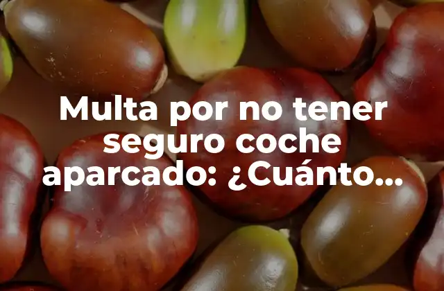 Multa por No Tener Seguro Coche Aparcado: ¿cuánto Cuesta No Contar con Cobertura?