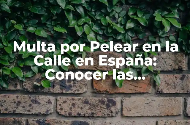 Multa por Pelear en la Calle en España: Conocer las Consecuencias