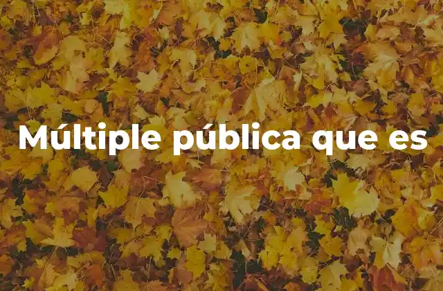 Múltiple Pública que es