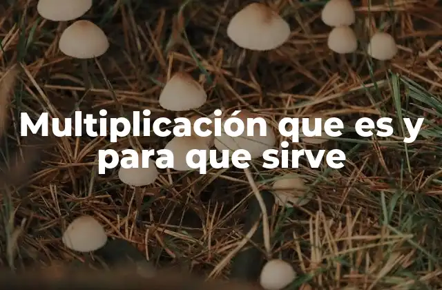 Multiplicación que es y para que Sirve