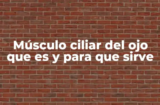 Músculo Ciliar Del Ojo que es y para que Sirve