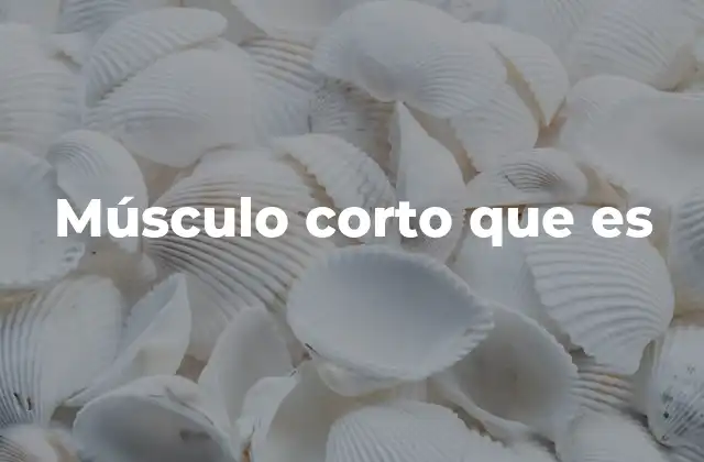 Músculo Corto que es