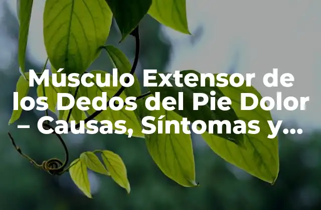 Músculo Extensor de los Dedos Del Pie Dolor – Causas, Síntomas y Tratamiento