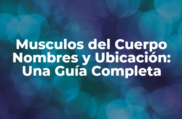 Musculos Del Cuerpo Nombres y Ubicación: una Guía Completa