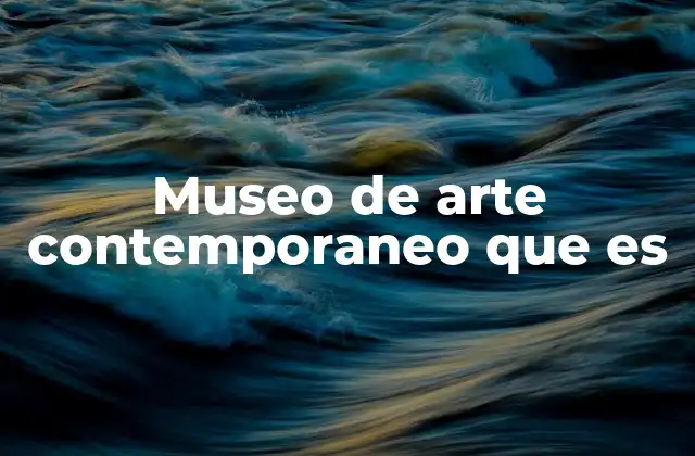 Museo de Arte Contemporaneo que es