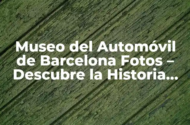 Museo Del Automóvil de Barcelona Fotos – Descubre la Historia Del Automóvil