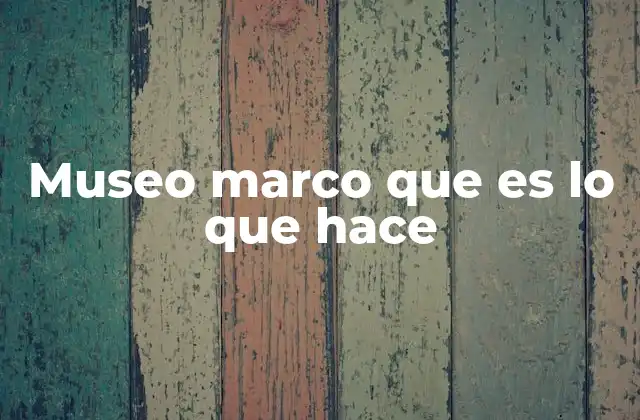 Museo Marco que es Lo que Hace