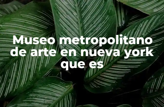 Museo Metropolitano de Arte en Nueva York que es