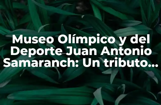 Museo Olímpico y Del Deporte Juan Antonio Samaranch: un Tributo Al Legado Olímpico