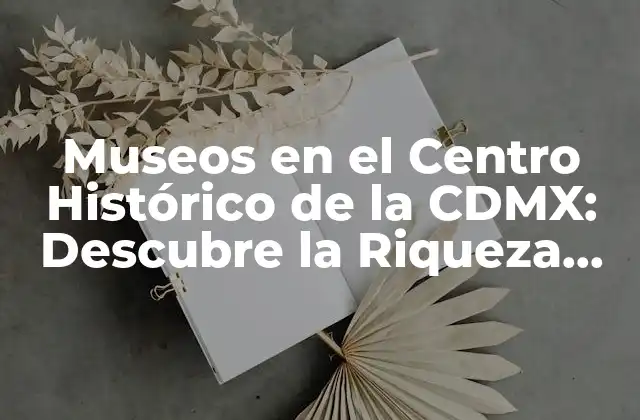 Museos en el Centro Histórico de la Cdmx: Descubre la Riqueza Cultural de la Ciudad