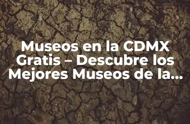 Museos en la Cdmx Gratis – Descubre los Mejores Museos de la Ciudad de México