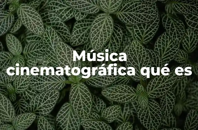 Música Cinematográfica Qué es