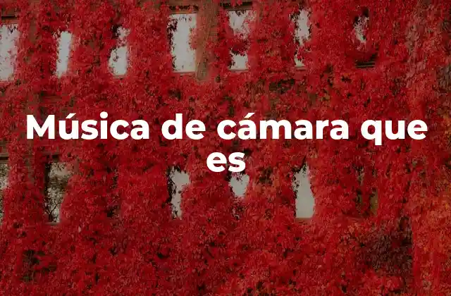 Música de Cámara que es