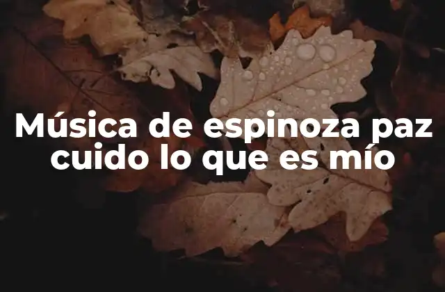 Música de Espinoza Paz Cuido Lo que es Mío