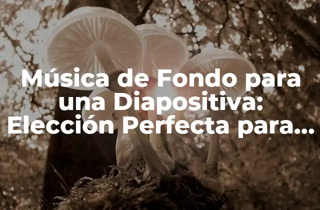 Música de Fondo para una Diapositiva: Elección Perfecta para una Presentación Impactante