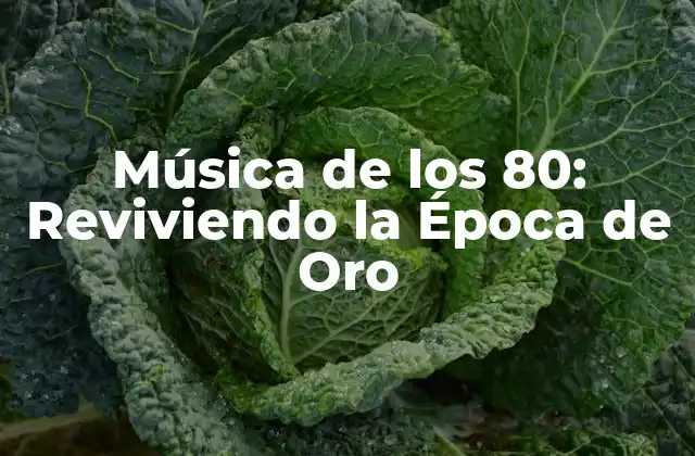 Orígenes de la Música de los 80