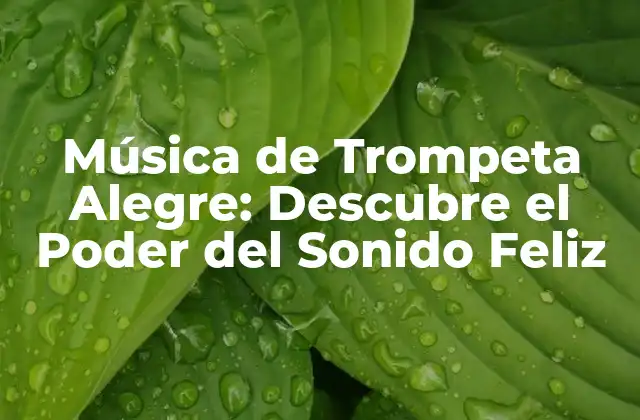 Música de Trompeta Alegre: Descubre el Poder Del Sonido Feliz