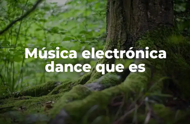 Música Electrónica Dance que es