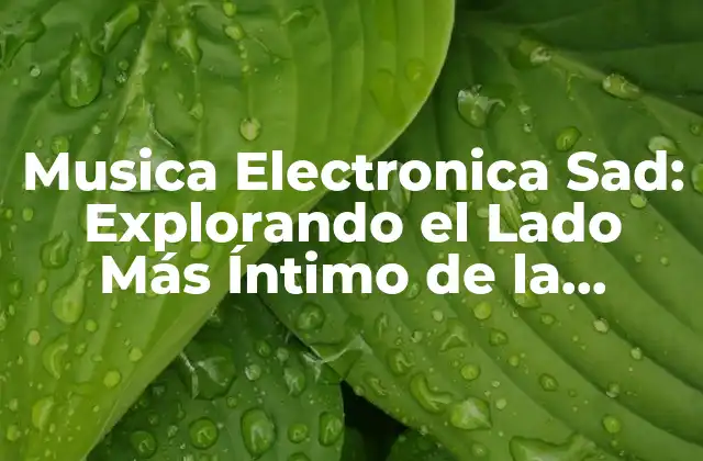 Musica Electronica Sad: Explorando el Lado Más Íntimo de la Música Electrónica