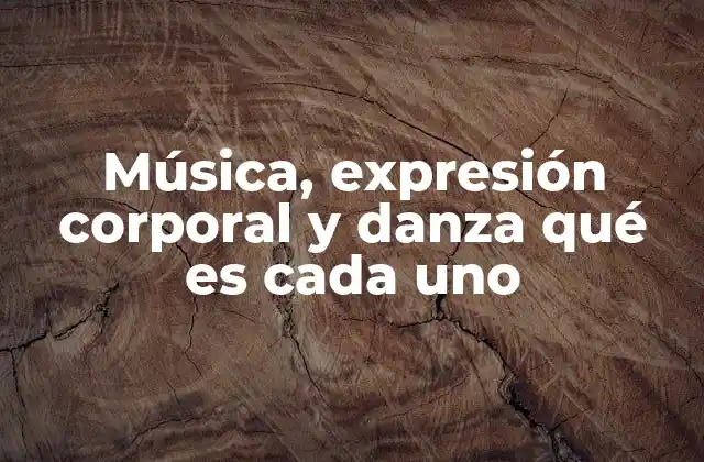 La interacción entre sonido, cuerpo y movimiento
