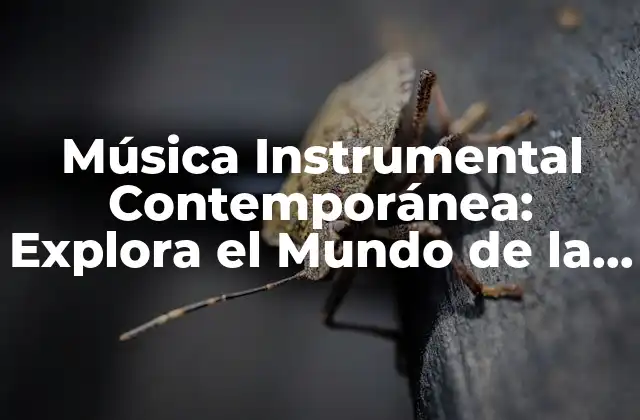 Música Instrumental Contemporánea: Explora el Mundo de la Música sin Palabras 2 Orígenes y Evolución de la Música Instrumental Contemporánea