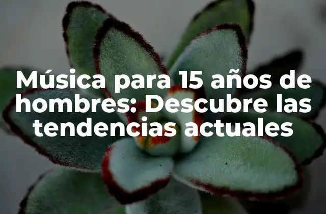 Música para 15 Años de Hombres: Descubre las Tendencias Actuales