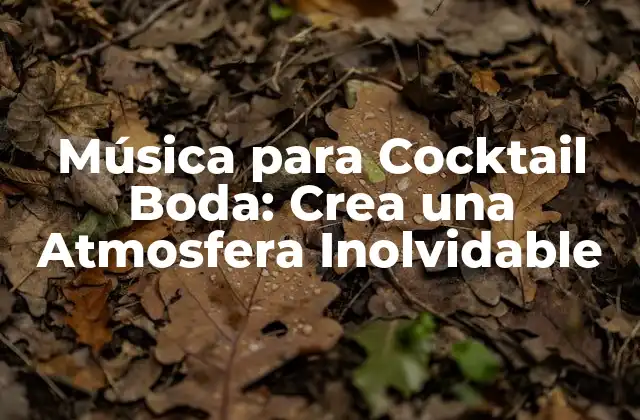Música para Cocktail Boda: Crea una Atmosfera Inolvidable