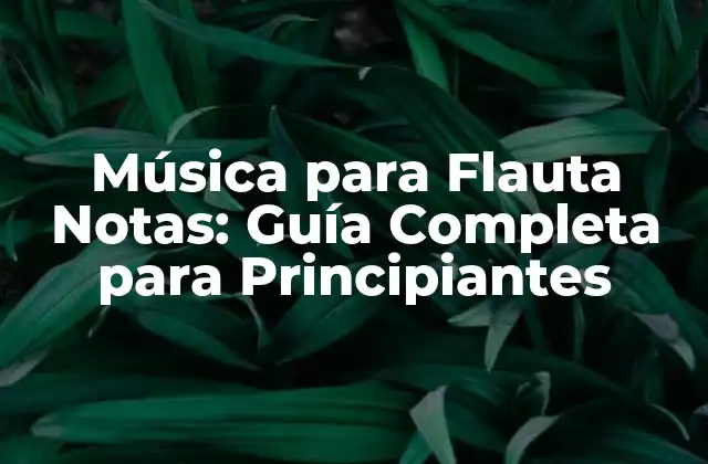 Música para Flauta Notas: Guía Completa para Principiantes