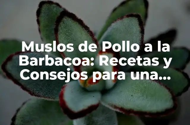 Muslos de Pollo a la Barbacoa: Recetas y Consejos para una Fiesta Estival