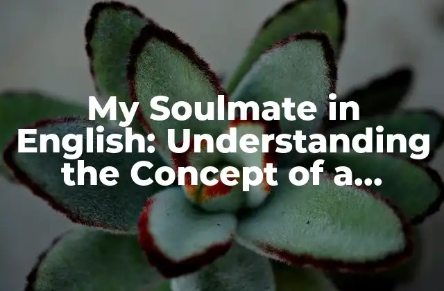 My Soulmate In English: Understanding The Concept Of a Lifetime Partner