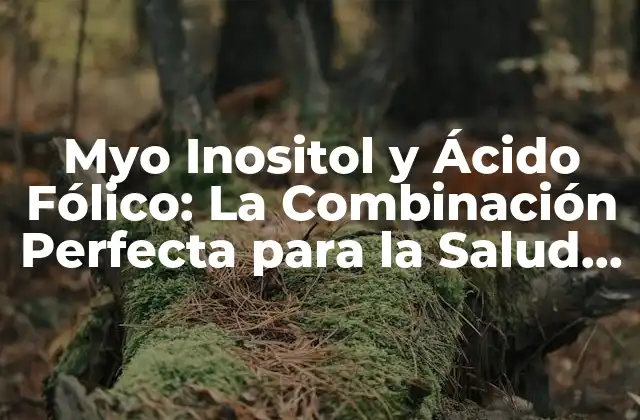 Myo Inositol y Ácido Fólico: la Combinación Perfecta para la Salud Femenina