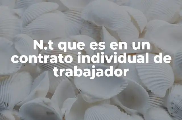 N.t que es en un Contrato Individual de Trabajador