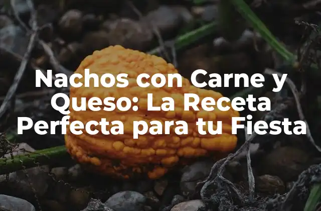 Nachos con Carne y Queso: la Receta Perfecta para Tu Fiesta