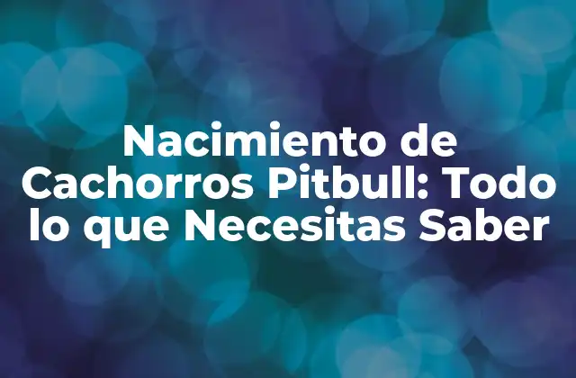 Nacimiento de Cachorros Pitbull: Todo Lo que Necesitas Saber