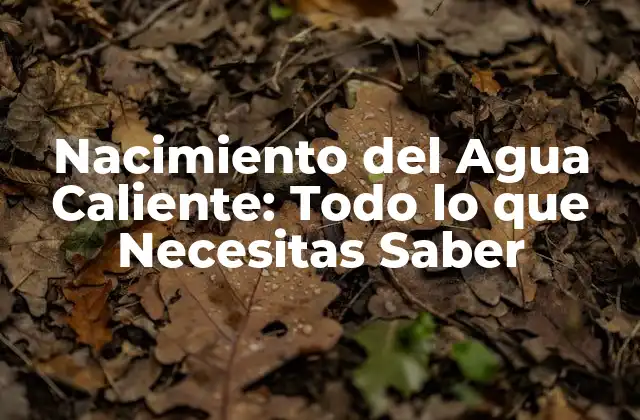 ¿Qué es el Nacimiento del Agua Caliente?