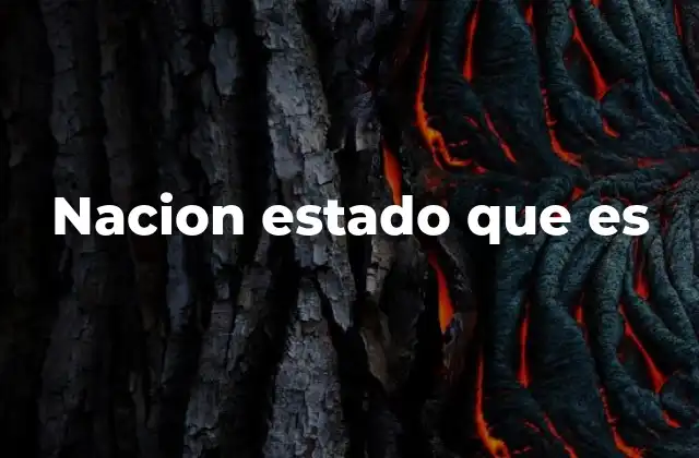 Nacion Estado que es