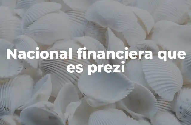Nacional Financiera que es Prezi