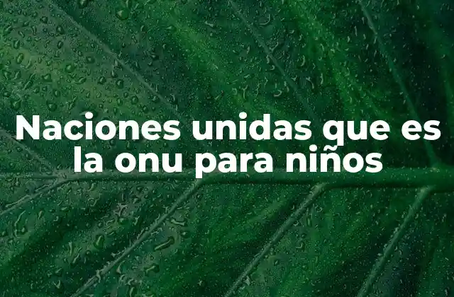 Naciones Unidas que es la Onu para Niños
