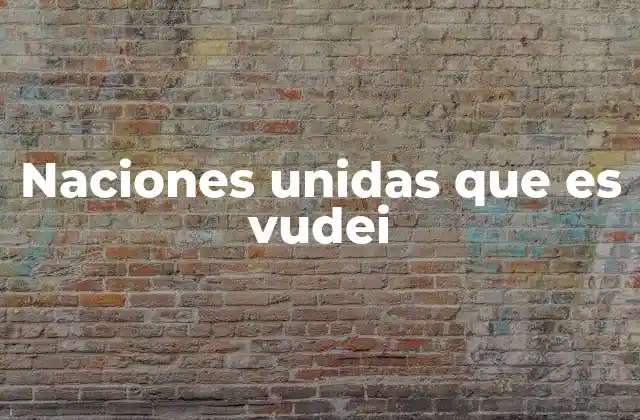 Naciones Unidas que es Vudei